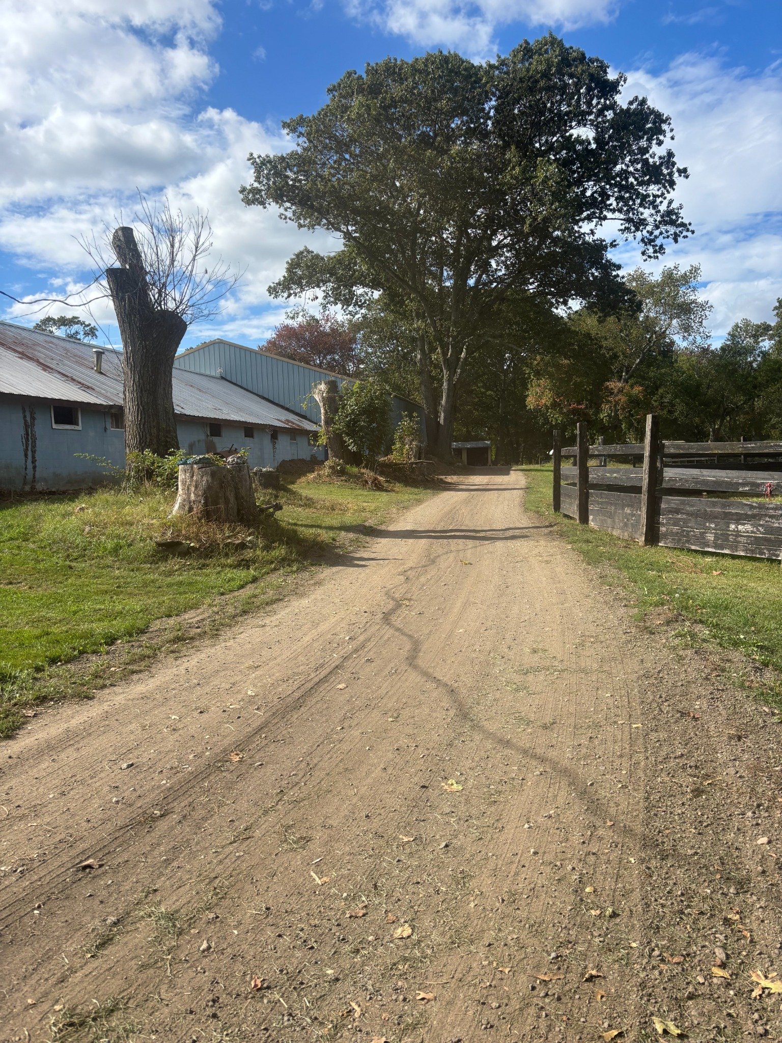 Gravel driveway
